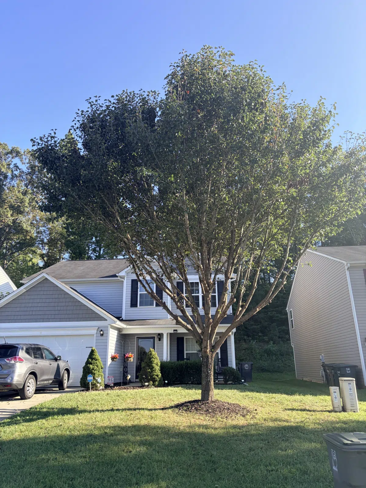 Mature tree and trimmed lawn in front of a suburban home — Your Way Lawn and Tree in Greensboro