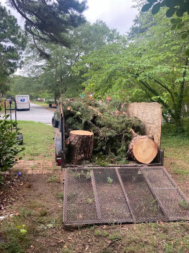 Trailer loaded with cut logs and pine limbs — Your Way Lawn and Tree in Greensboro
