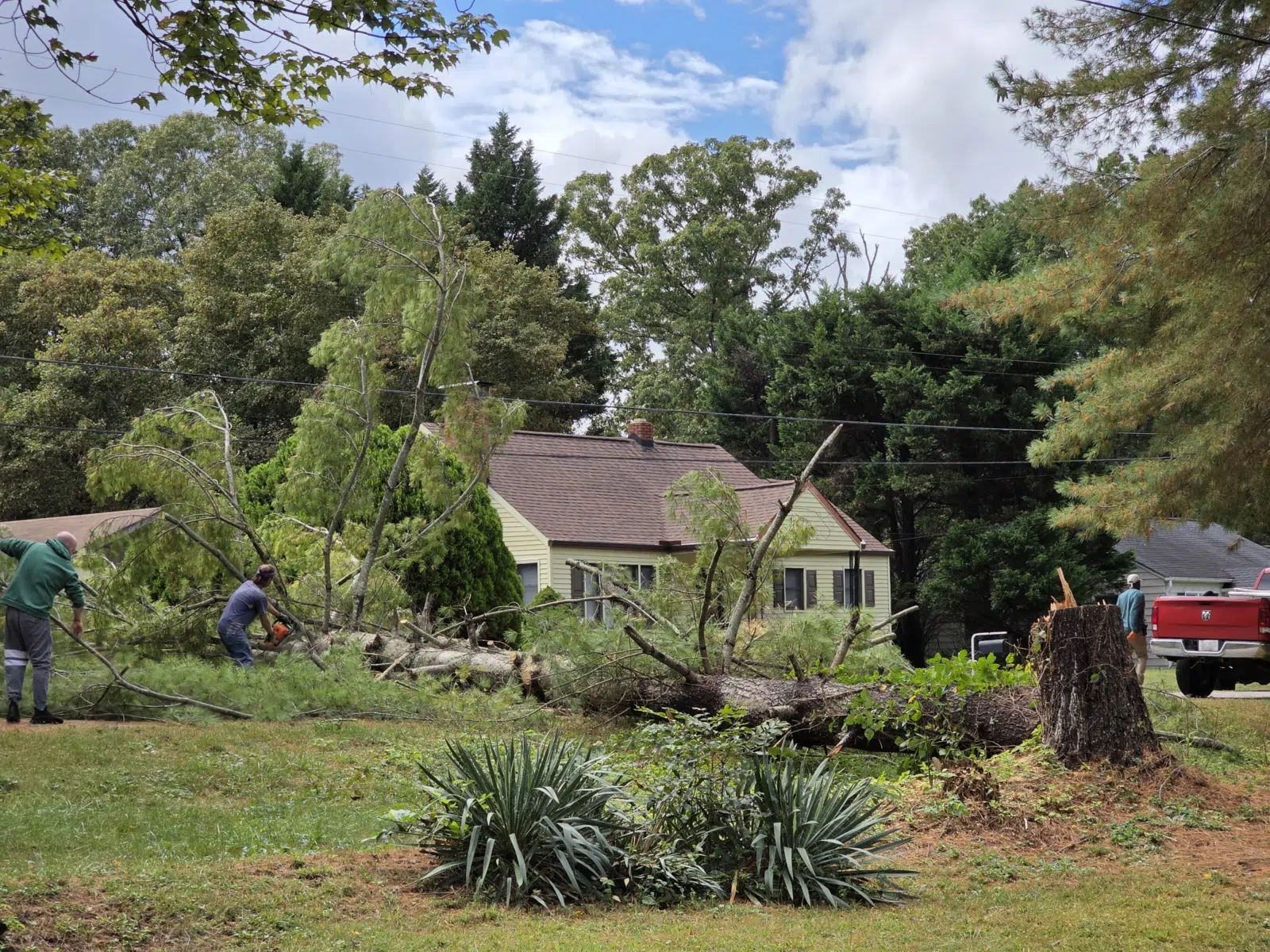 Crew clearing a fallen tree in a residential yard — Your Way Lawn and Tree in Greensboro